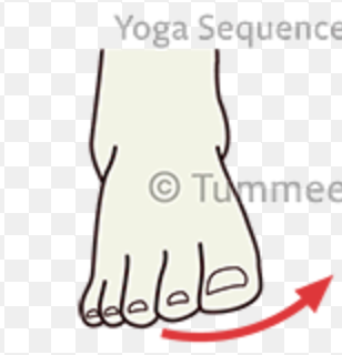 <p>turning the sole of the foot inward</p>