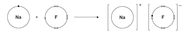 <p>Describe, as fully as you can, what happens when sodium reacts with fluorine to produce sodium fluoride.(4)</p>