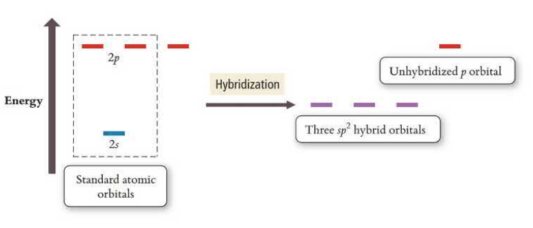 Hybridization of sp^2 orbital