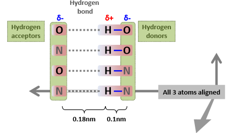 <ul><li><p>If H and H acceptor are 0.18 nm apart </p></li><li><p>If all 3 atoms are aligned</p></li></ul><p>Strength of the bond will decrease the further away from the ideal </p>