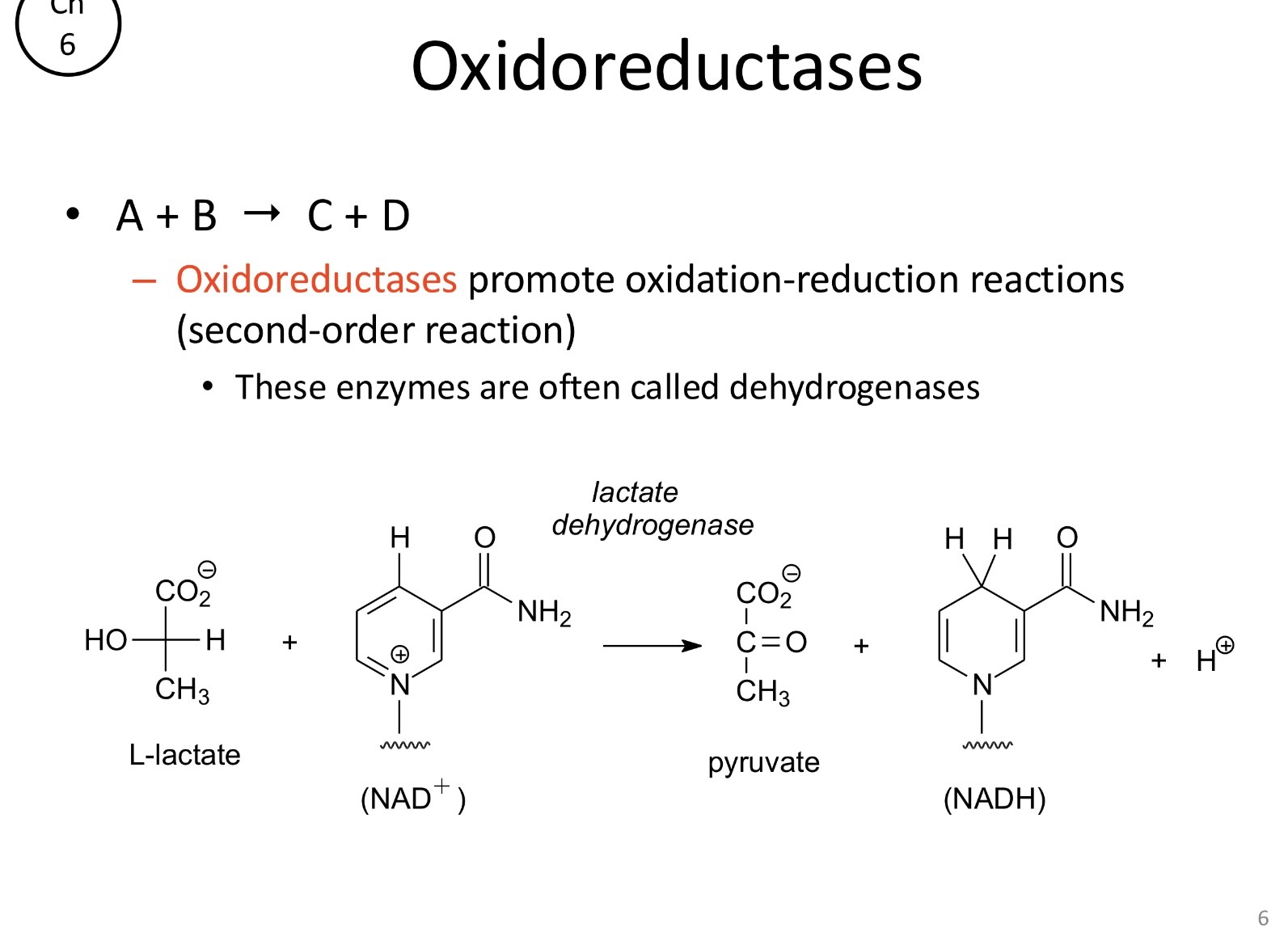 <p>Catalyze oxidation-reduction reactions (dehydrogenases)</p><ul><li><p>A+B→C+D (second-order)</p></li></ul><p></p>