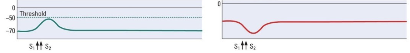 <p>What does the image show</p>