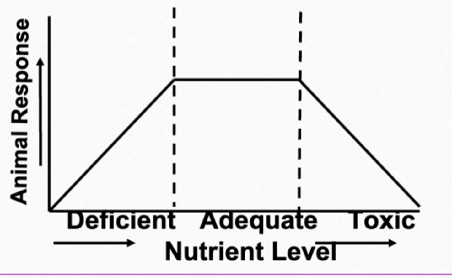 Animal Nutrition exam 1 Flashcards Knowt