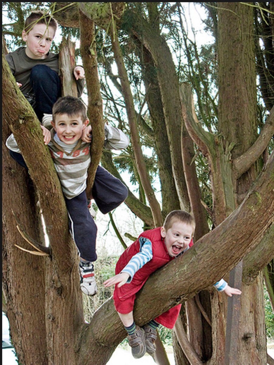 <p>¿Cómo se dice?</p>