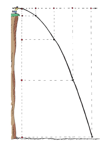 <ul><li><p>constant motion horizontally</p></li><li><p>accelerated motion vertically</p></li></ul><p></p>