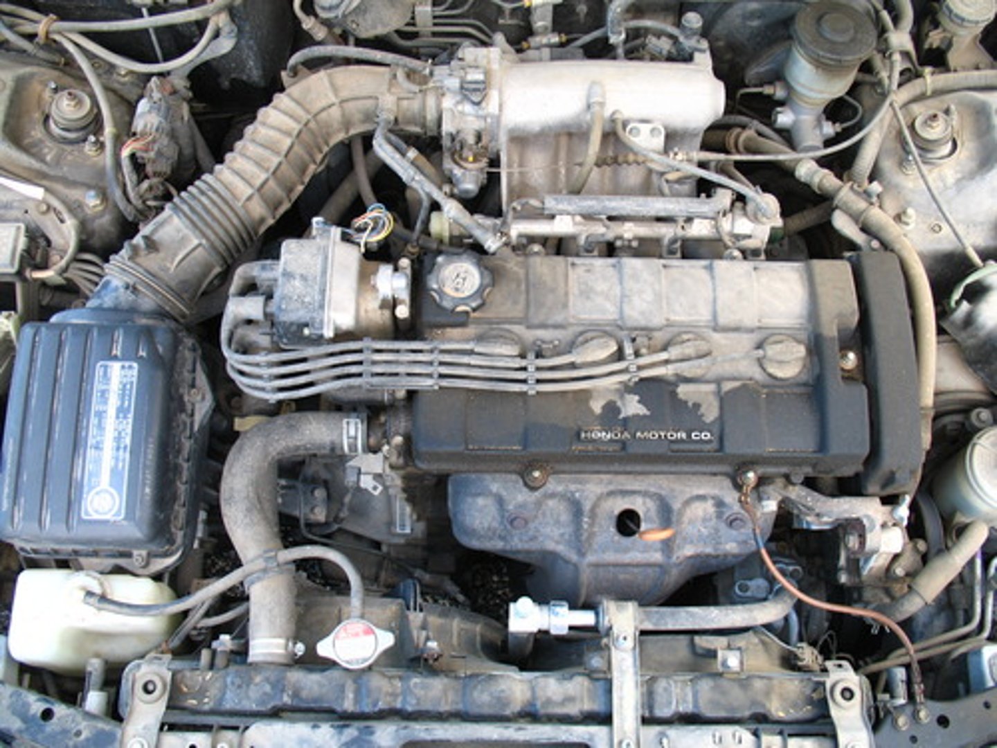 <p>Engineering</p>