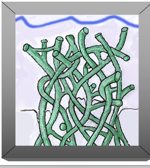 <p>schematic of collagen that has been etched&nbsp;</p>