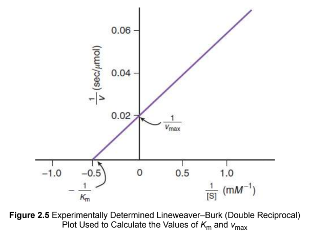 <p>double reciprocal graph of the Michaelis–Menten equation</p><p>x-intercept = <em>−1/K<sub>m</sub></em></p><p>y-intercept = <em>1/v<sub>max</sub></em></p>