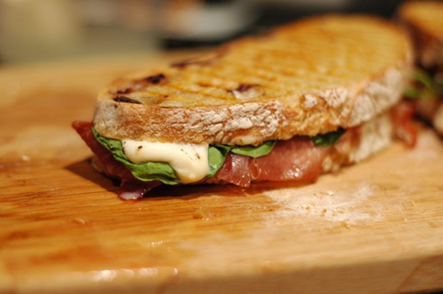 <p>toasted sandwich</p>