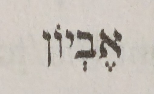 term image