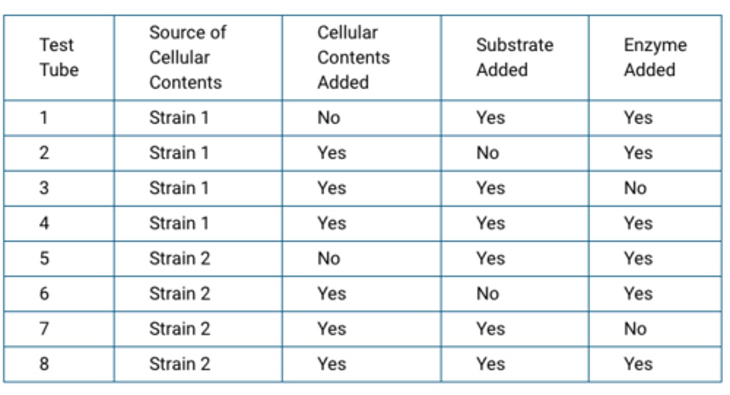 <p>They will show whether the isolated cellular contents have enzymatic activity.</p>