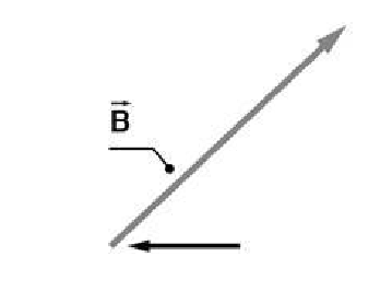 <p>What is the name of the indicated part of Vector B?</p><p>a. Head</p><p>b. Tail</p><p>c. Magnitude</p><p>d. Direction</p><p>e. Point</p>