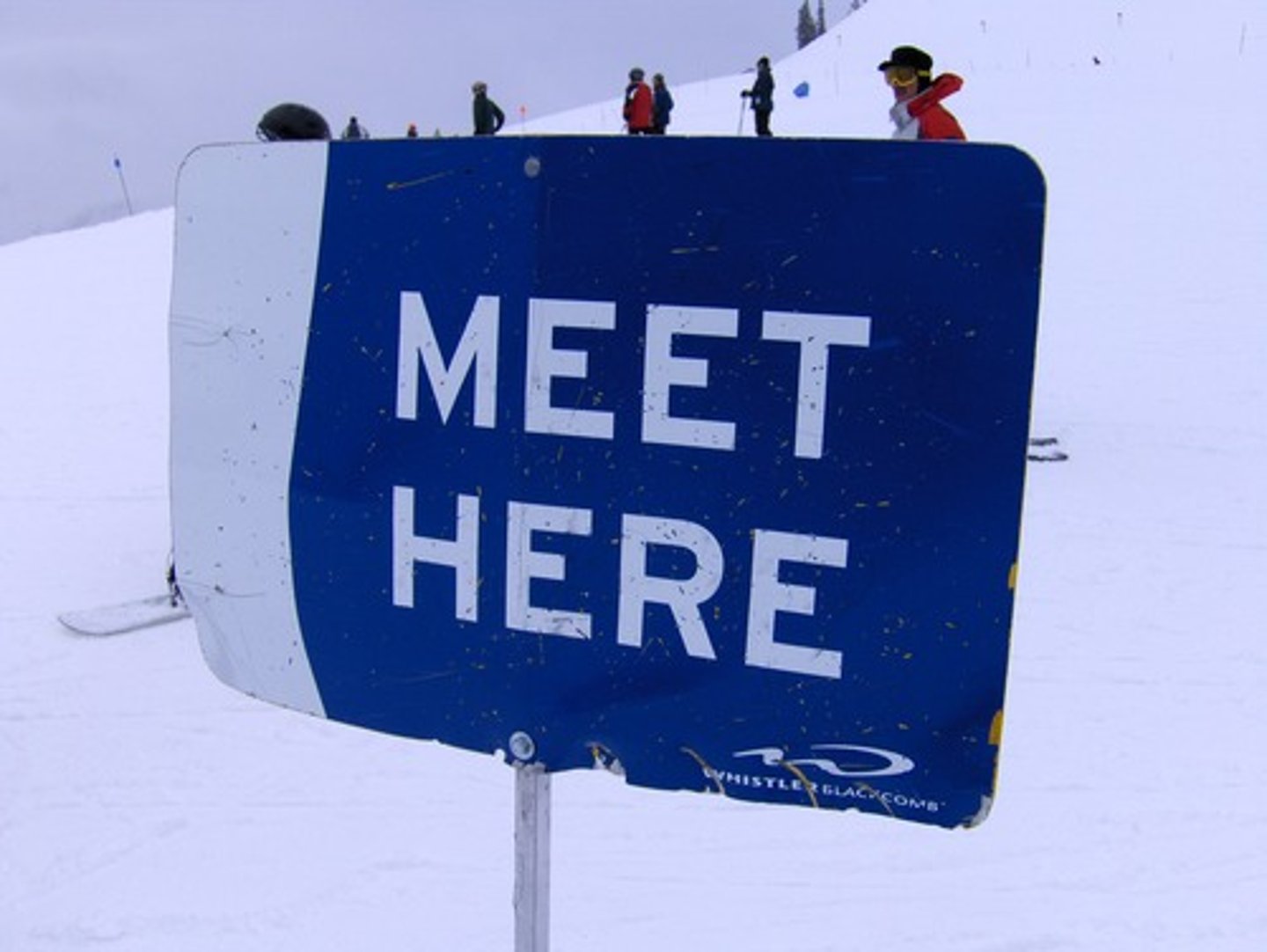 <p>Here</p>