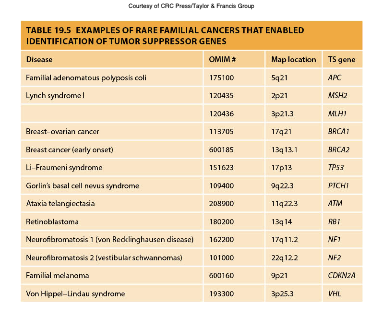 <p>are types of cancers that occur due to hereditary mutations in tumor suppressor genes, increasing the risk of developing specific cancers in affected families. </p>
