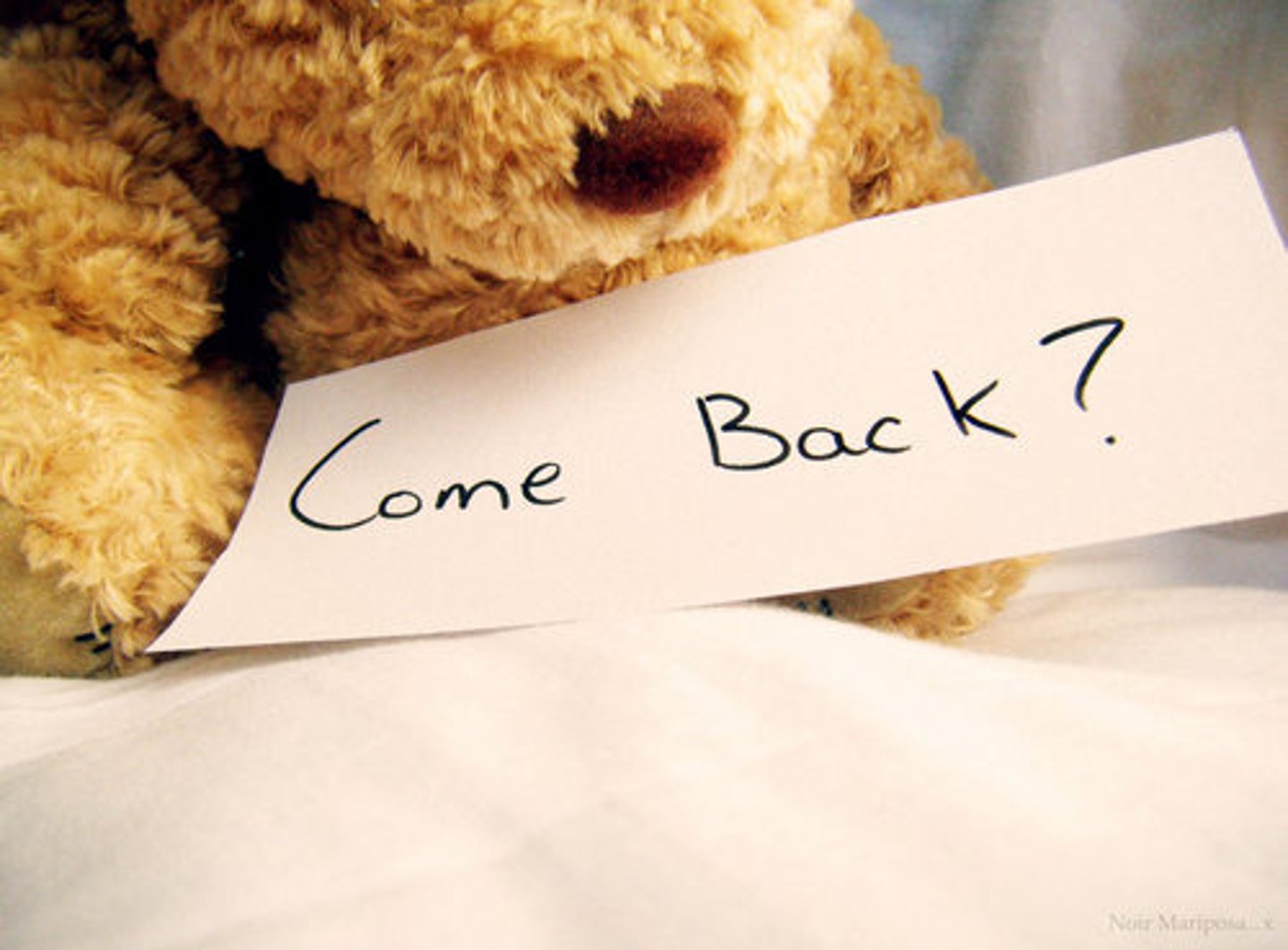 <p>（huílai）to come back</p>