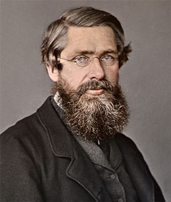 <p><span>What were the contributions of the following individuals to Darwin’s formulation of his theory of evolution by modification through descent? </span><strong><span>Alfred Russell Wallace</span></strong></p>