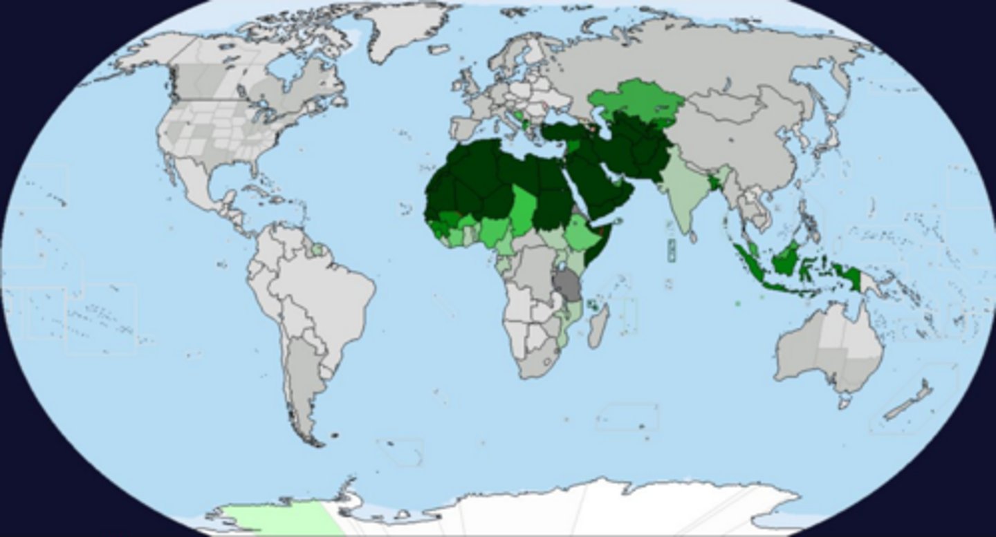 <p>A religion of 1.3 billion people in the world; The predominant religion of the Middle East from North Africa to Central Asia.</p>