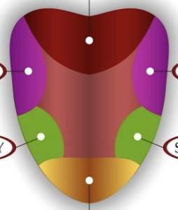 <p>label the structures the arrows are pointing to.</p>