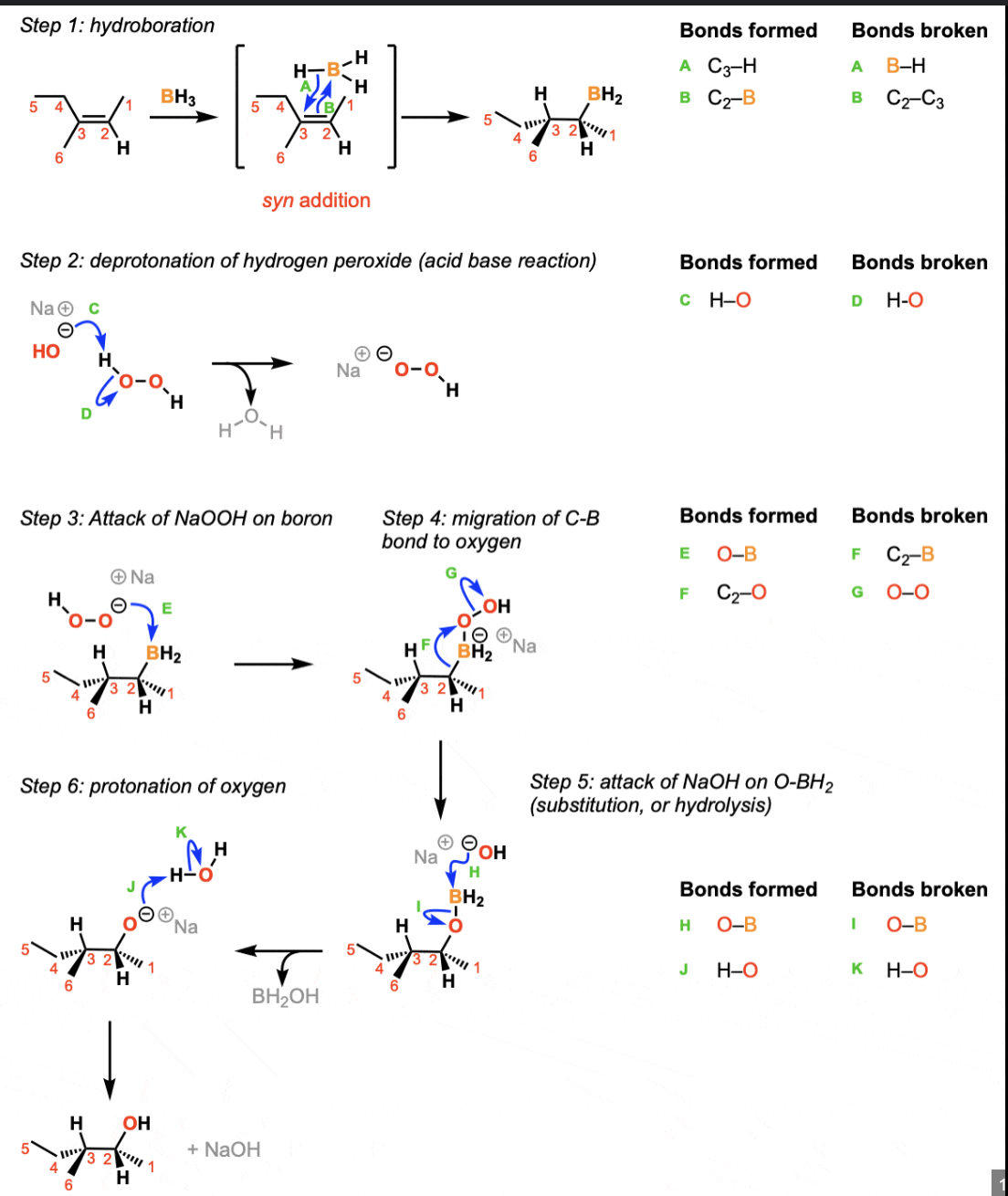 knowt flashcard image