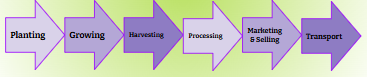 <p>a process used by corporations to gather resources, transform them into goods, and then transport them to customers</p><p></p>
