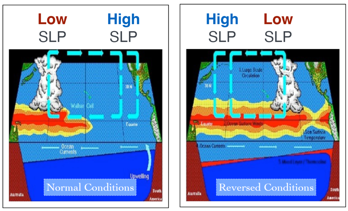 <p>the coherent change (periodic reversal - every 3 to 7 years) in the east-west circulation cell over the pacific (walker cell) resulting in coherent changes in atmospheric pressure patterns, precipitation patterns and wind direction</p><ul><li><p>high / low SLP (atmosphere pressure at sea level) patterns also change</p></li></ul><p></p>