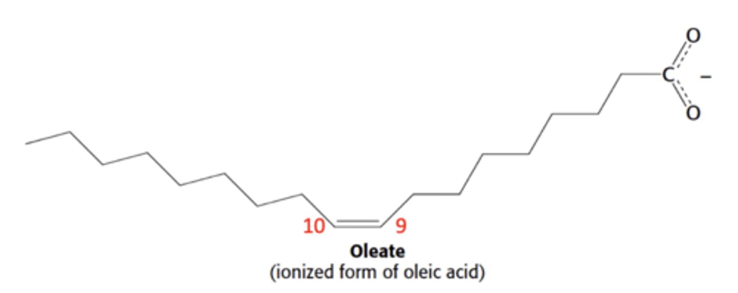 <p>What is the delta notation name of this fatty acid</p>