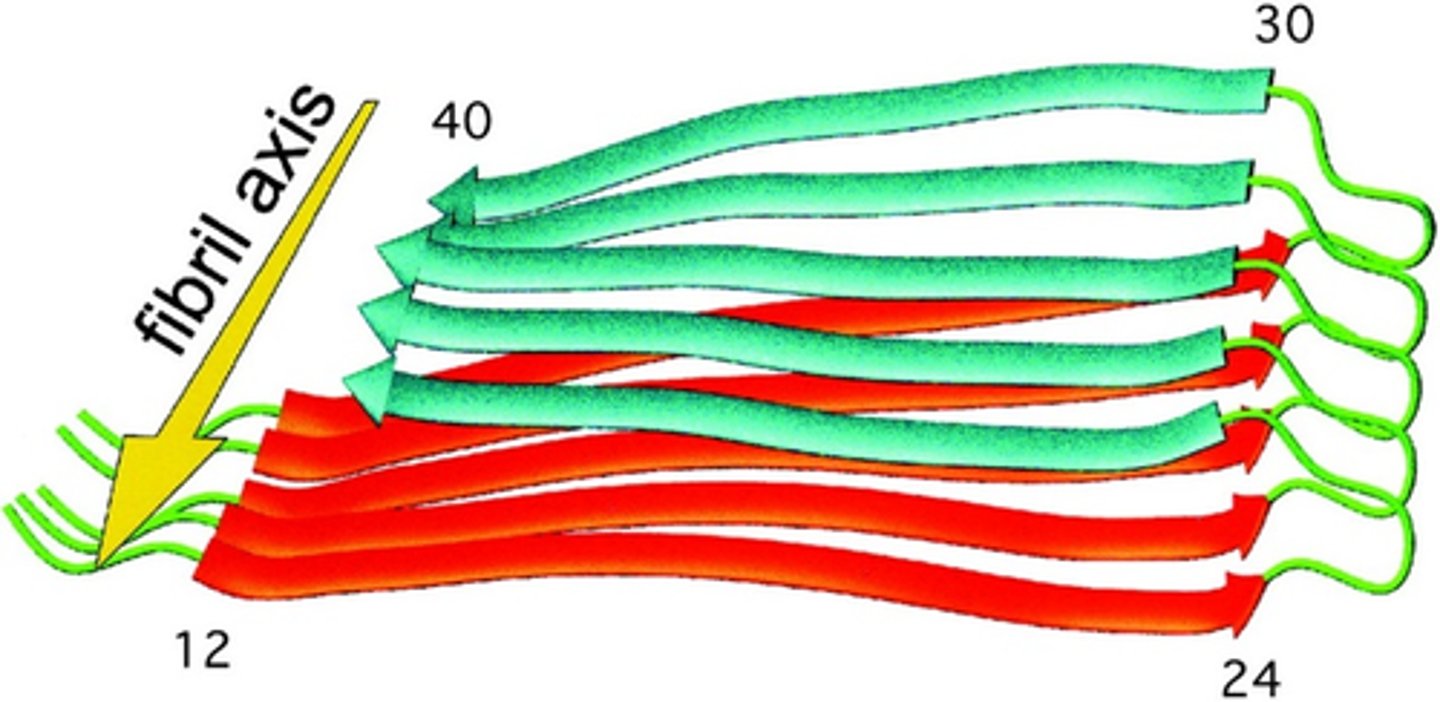 <p>Self-propagating, stable β-sheet aggregates (Alzheimer's, Parkinson's and prion diseases)</p>