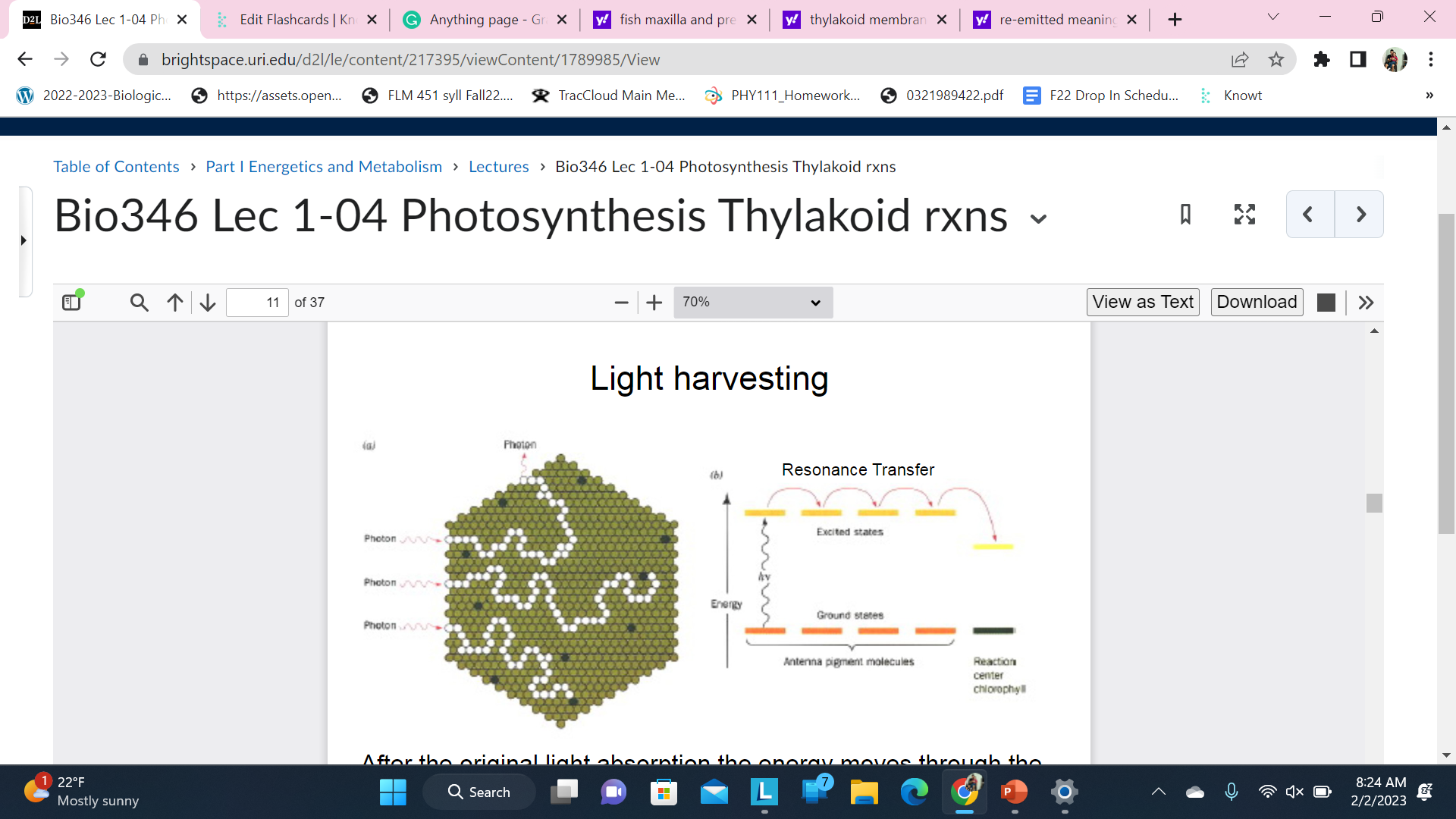 After the original light absorption the energy moves through the chlorophyll and carotenoid molecules in the Antenna Complex by Resonance transfer. Transfers occur as fast as femto seconds