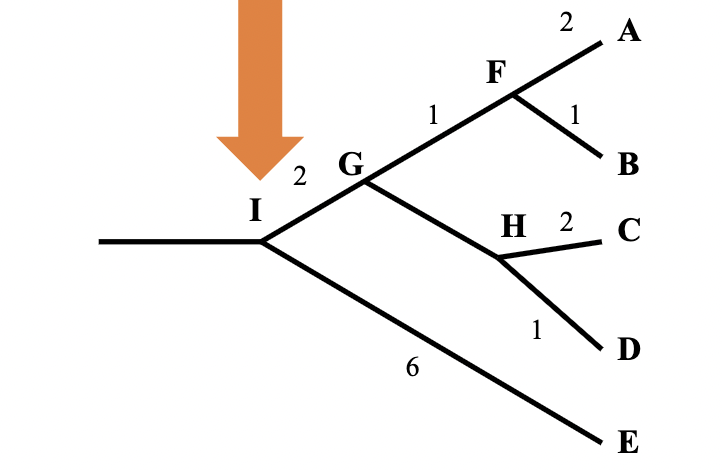 <p>an organism that exists as a distinct population</p>