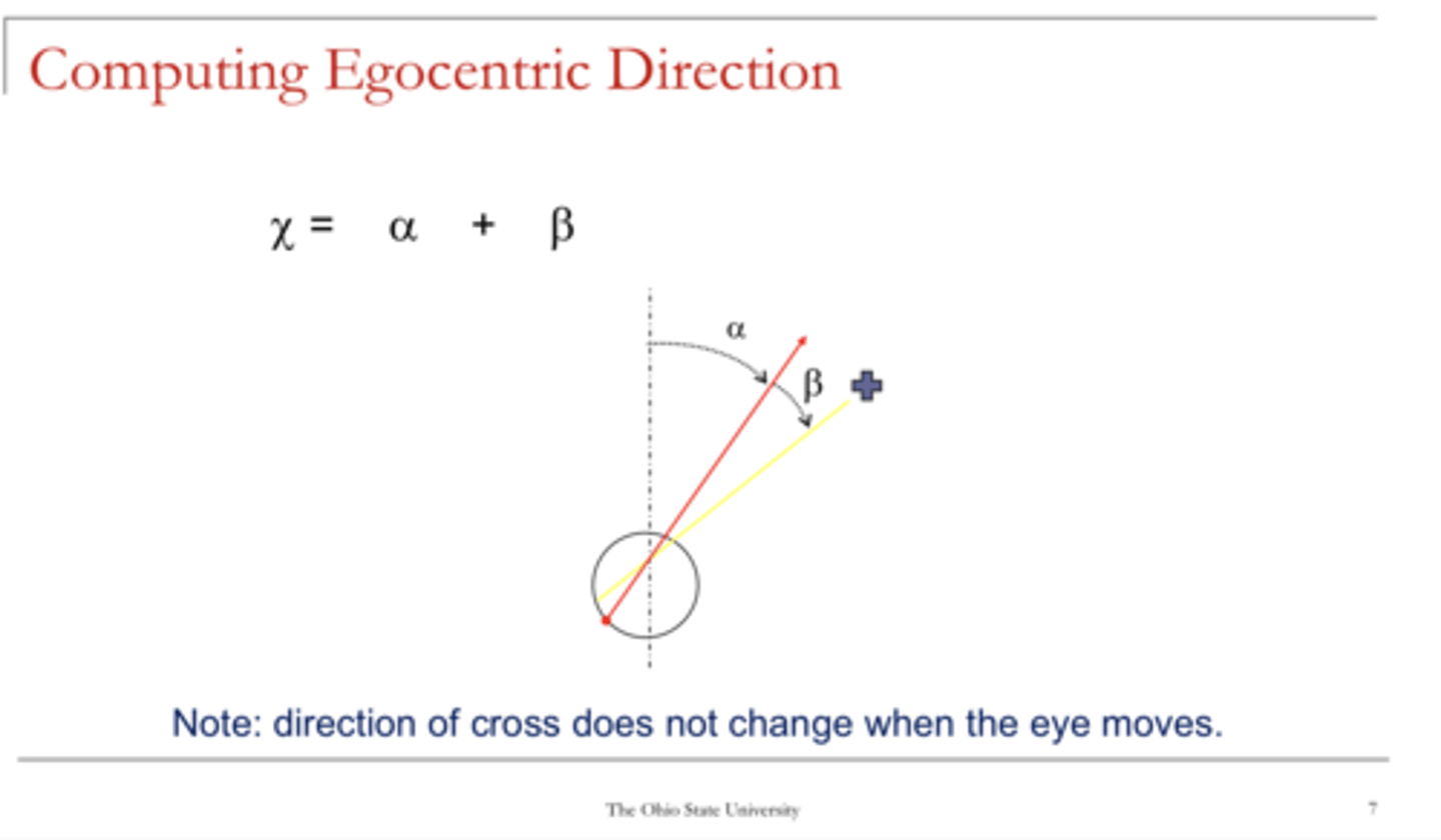 <p>Does the egocentric location change as the eye moves?</p>