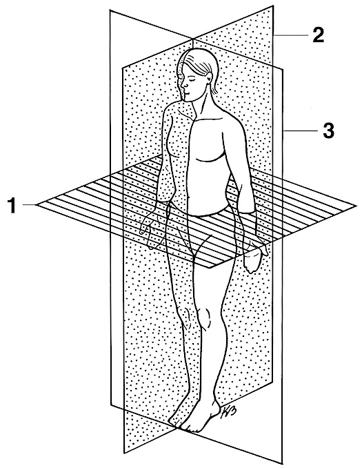 <p>3 - body plane</p>
