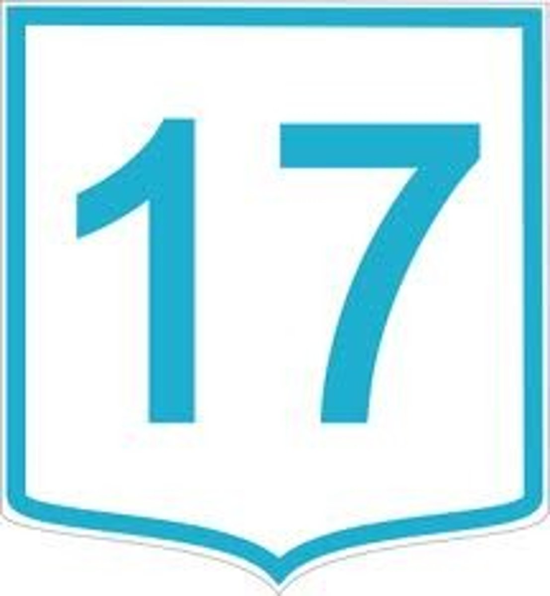 <p>17</p>