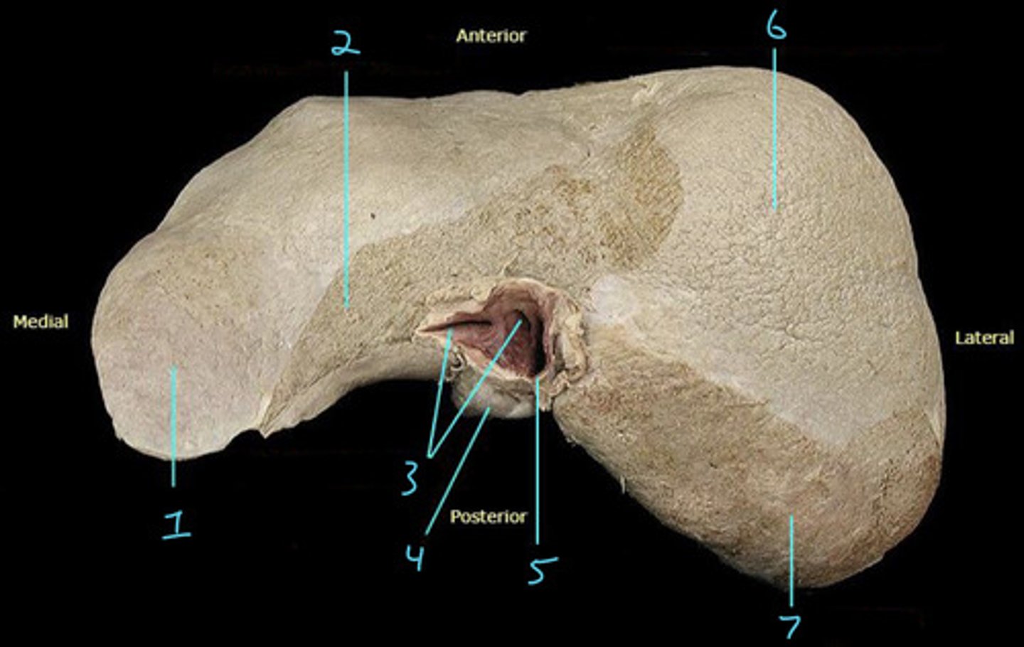 <p>1</p>