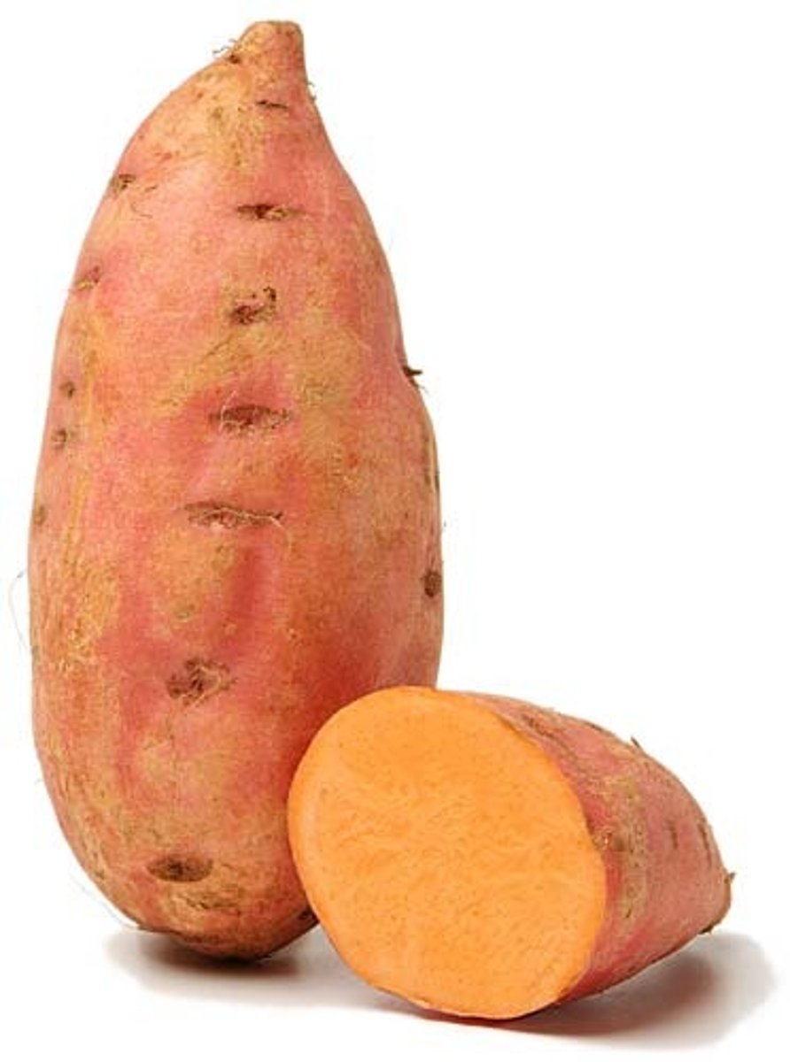 <p>a yam</p>