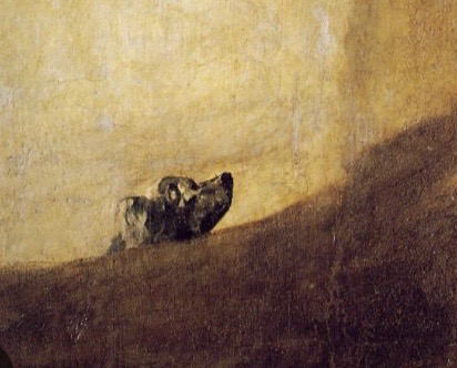 <p>34.</p>