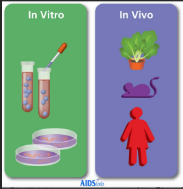 <ul><li><p>Phage may behave in vitro and in the patient quite differently.</p></li><li><p>In vivo, bacteria may form biofilms, may live in hypoxic or intracellular environments in which the phage particles either have poor access to their hosts or do not kill them efficiently.</p></li><li><p>Further studies are needed to understand how these differences lead to poor clinical outcomes.</p></li></ul>