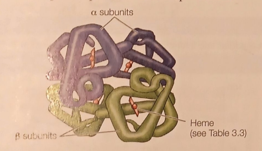 <p>Subunits binding together and interacting</p>