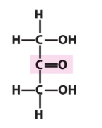 <p>ketose or aldose</p>