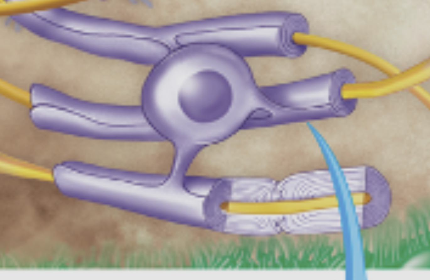 <p>What is this?</p>