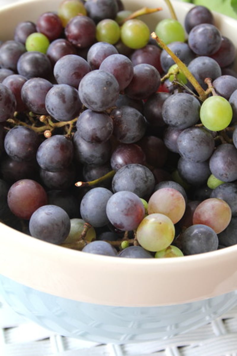 <p>grape</p>