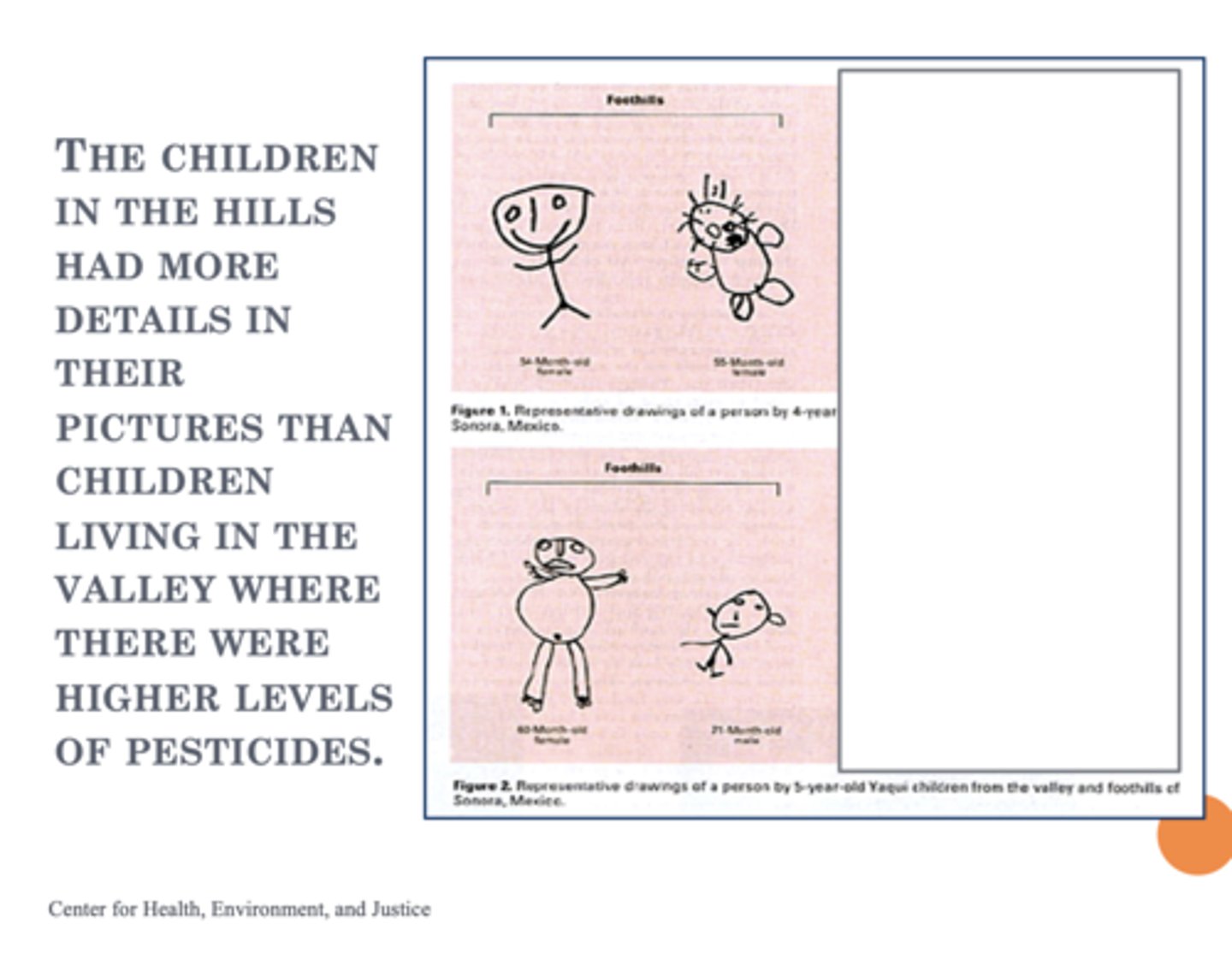 <p>Yaqui children in Mexico have been the focus of significant research due to the severe developmental delays and neurobehavioral effects observed as a result of chronic pesticide exposure in the Yaqui Valley</p><p>Elizabeth Guillette compared children living in the agricultural lowlands—where pesticide use is heavy—to those in the foothills, where pesticide use is minimal. Despite sharing similar genetic backgrounds, diets, and cultural practices, the two groups showed striking differences in development</p><p>Motor and Cognitive Impairments: Children from the pesticide-exposed valley had much greater difficulty with tasks requiring hand-eye coordination,</p><p>Behavioral and Social Effects: Valley children were more likely to display aggressive behaviors, such as striking others without provocation, and were easily upset or angry. They also showed less creativity in play and were less interactive in group activities</p><p>Drawing Ability: When asked to draw pictures of people, foothill children produced recognizable figures, while valley children’s drawings were often infantile scribbles, indicating developmental delays</p><p>Other Health Effects: In addition to developmental delays, exposed children experienced physiological symptoms such as skin burns, loss of fingernails, and rashes. In some cases, exposure led to death</p>