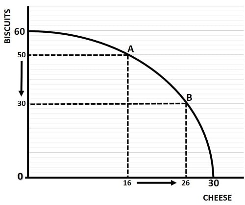 <p>Production Possibilities Curve (PPC)</p>