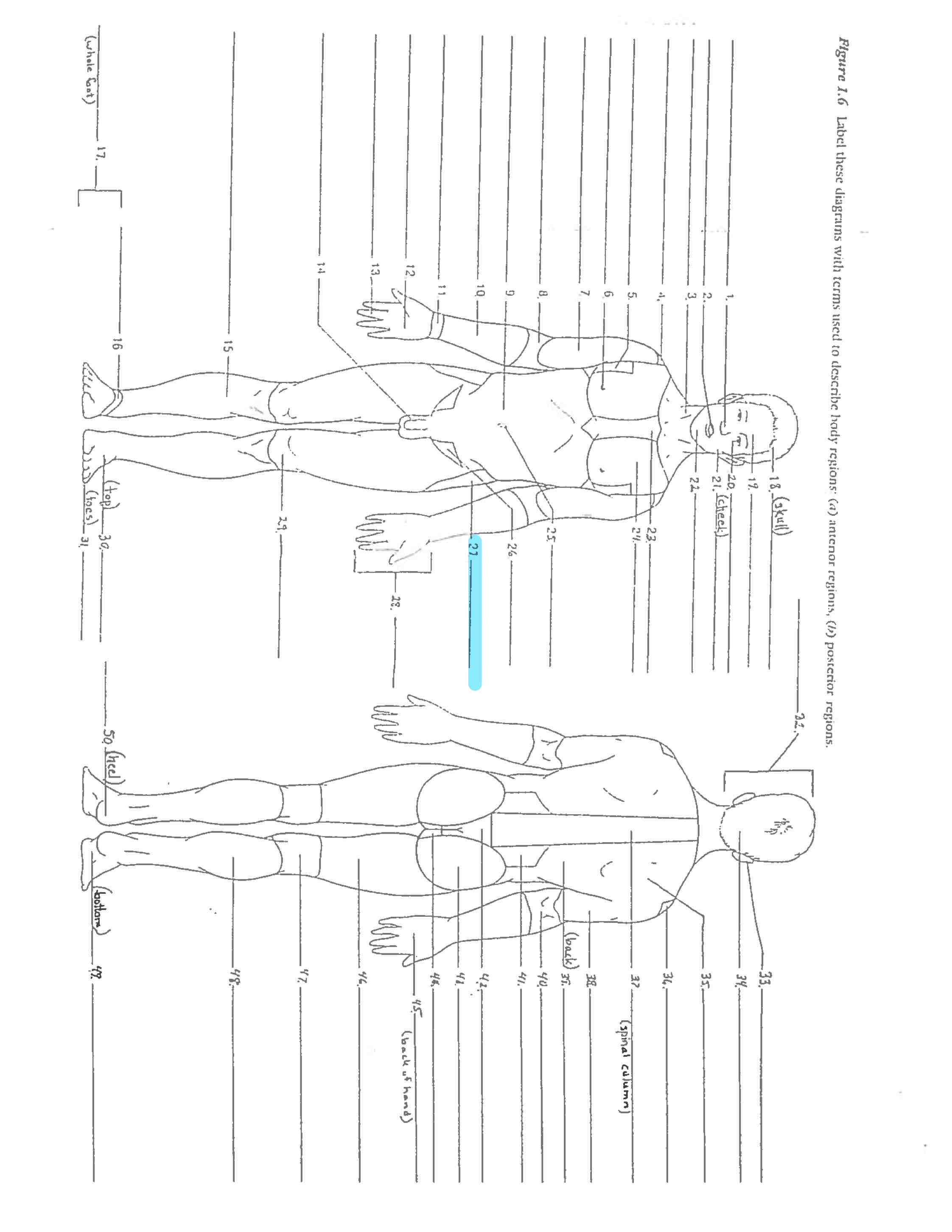 <p>Line 27 </p>