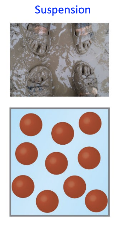 <p>Involve large solid particles that do not dissolve and is kept suspended by agitation; they will settle over time (e.g., mud)</p><p></p>