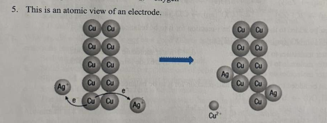 <p>*5. The image  shows an atomic view of an electrode. Fill in the statement:</p><p>Copper is ______ while silver is _____</p><p></p><p>a.  reduced; oxidized</p><p>b. oxidized; reduced</p><p>c. none of the above</p><p></p>