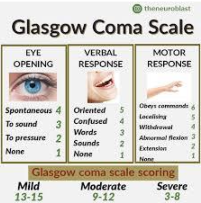 <ul><li><p>rating response to stimuli</p></li><li><p>indicating levels of consciousness and need for emergency attention</p></li></ul><p></p>