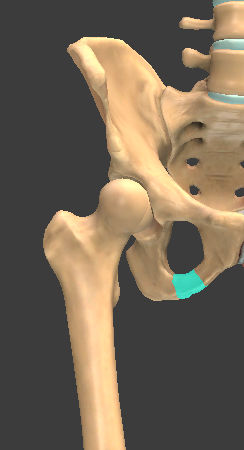 <p>bottom of loop</p>