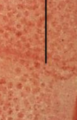 <p>What is this arrow pointing to?</p>