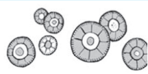<p>Leucine Crystals in urine</p><p>Can appear in patients with severe liver disease, terminal cirrhosis, viral hepatitis, and maple syrup disease</p><p>Acidic/Neutral - Abnormal - Yellow Concentric Circles</p>