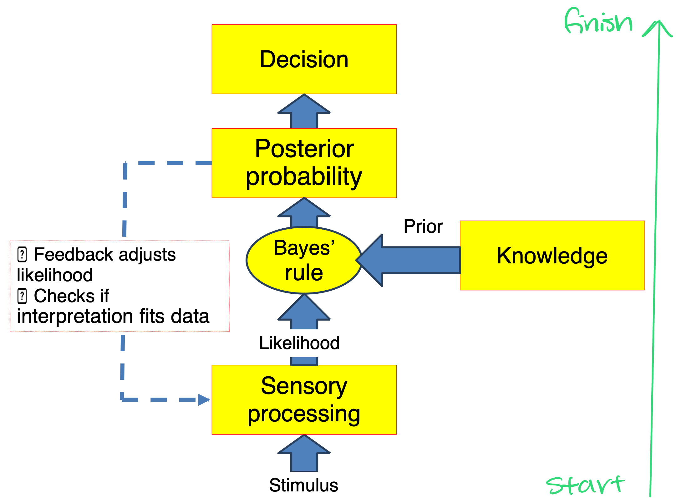 <p>involves using prior knowledge to update interpretations based on new sensory information to improve the reliability of perceptual judgments</p><p>perception is a trade-off between prior knowledge and the reliability of the incoming data</p><p><strong>P(SII) = P(S) x P(IIS) (posterior = prior x likelihood)</strong></p>